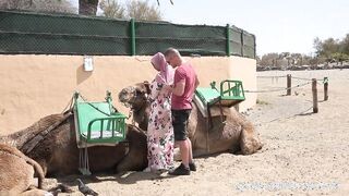 Hatalmas tőgyes arab gádzsi dugása