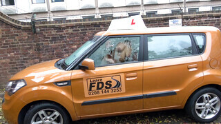 Fake Driving School - Louise Lee kedveli a méretes kukit