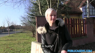 Public Agent - cseh pipi kopasz pinácskája