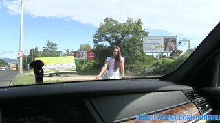 PublicAgent - Vanessa a bájos stoppos maca